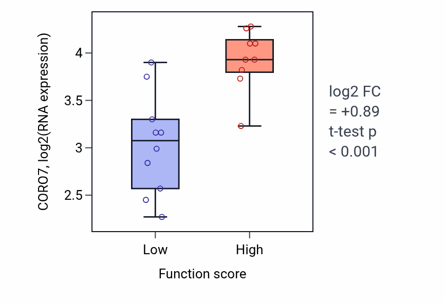 Box plot of CORO7 in CAMP biosynthetic process-low vs -high samples in LUNG_NSCLC_LUSC.