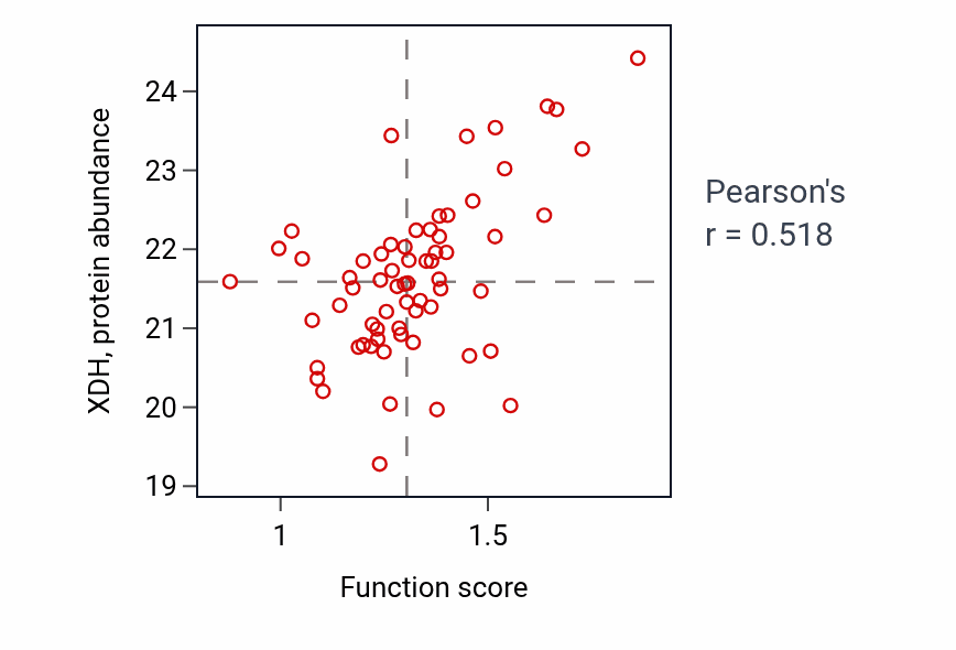 Per-sample scatter of AMP catabolic process activity vs XDH in OV.