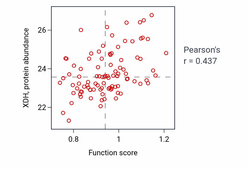 Per-sample scatter of AMP catabolic process activity vs XDH in UCEC.