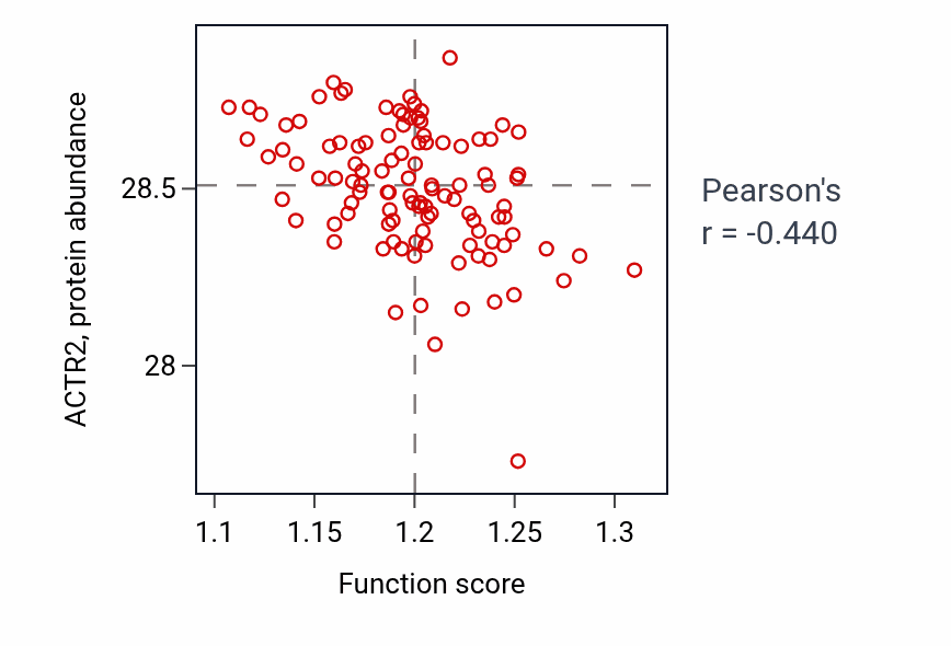 Per-sample scatter of Pyrimidine nucleotide metabolic process activity vs ACTR2 in LSCC.