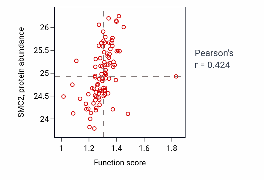 Per-sample scatter of Regulation of DNA replication activity vs SMC2 in UCEC.
