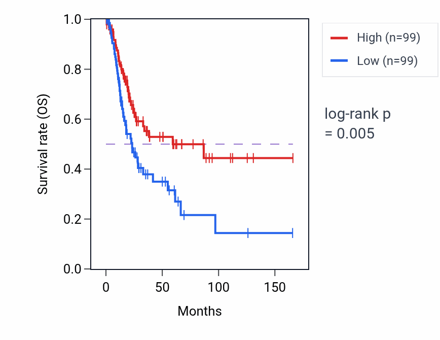 Kaplan&ndash;Meier survival curve for Mitochondrial transcription pathway activity in BLCA: high vs low activity groups.