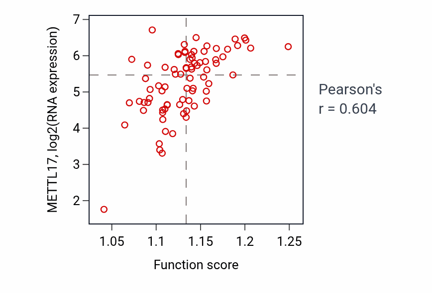 Per-sample scatter of Regulation of translational fidelity activity vs METTL17 in ACC.