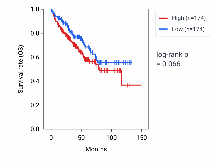 Kaplan&ndash;Meier survival curve for Arginine biosynthetic process pathway activity in KIRC: high vs low activity groups.