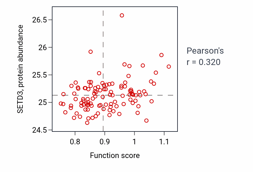Per-sample scatter of L-phenylalanine metabolic process activity vs SETD3 in LSCC.