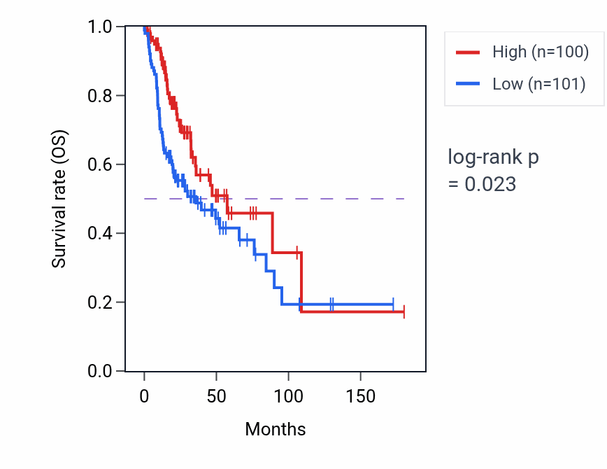 Kaplan&ndash;Meier survival curve for Protein targeting to membrane pathway activity in HNSC: high vs low activity groups.