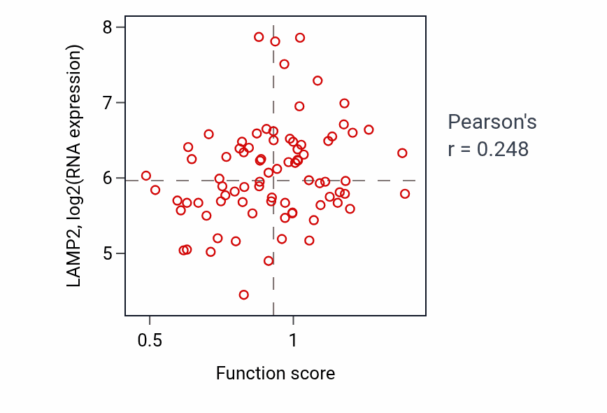 Per-sample scatter of Response to osmotic stress activity vs LAMP2 in OV.