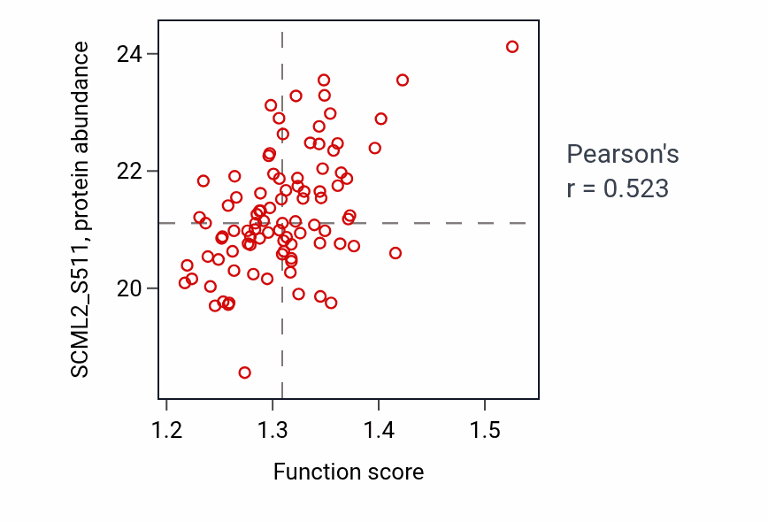 Per-sample scatter of Inner mitochondrial membrane organization activity vs SCML2_S511 in LSCC.