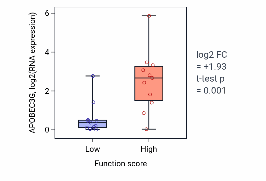 Box plot of APOBEC3G in Spindle organization-low vs -high samples in SOFT_TISSUE.