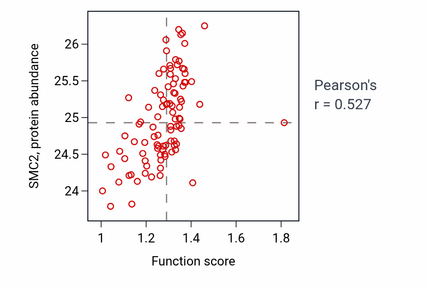Per-sample scatter of Mitotic spindle organization activity vs SMC2 in UCEC.