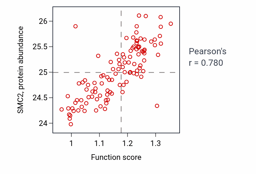 Per-sample scatter of Regulation of mitotic nuclear division activity vs SMC2 in LUAD.