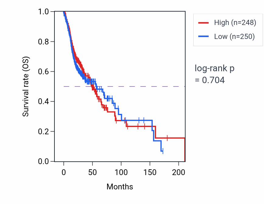 Kaplan&ndash;Meier survival curve for Spermidine metabolic process pathway activity in HNSC: high vs low activity groups.