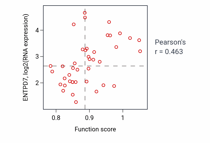 Per-sample scatter of Pyrimidine ribonucleoside diphosphate metabolic process activity vs ENTPD7 in STOMACH.