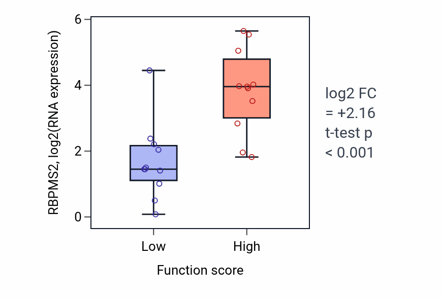 Box plot of RBPMS2 in UV protection-low vs -high samples in SOFT_TISSUE.
