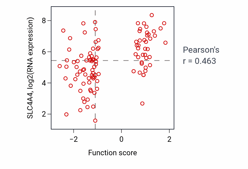 Per-sample scatter of Vascular transport activity vs SLC4A4 in PDAC.