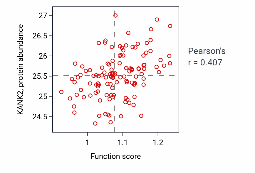 Per-sample scatter of Regulation of mesenchymal cell proliferation activity vs KANK2 in BRCA.