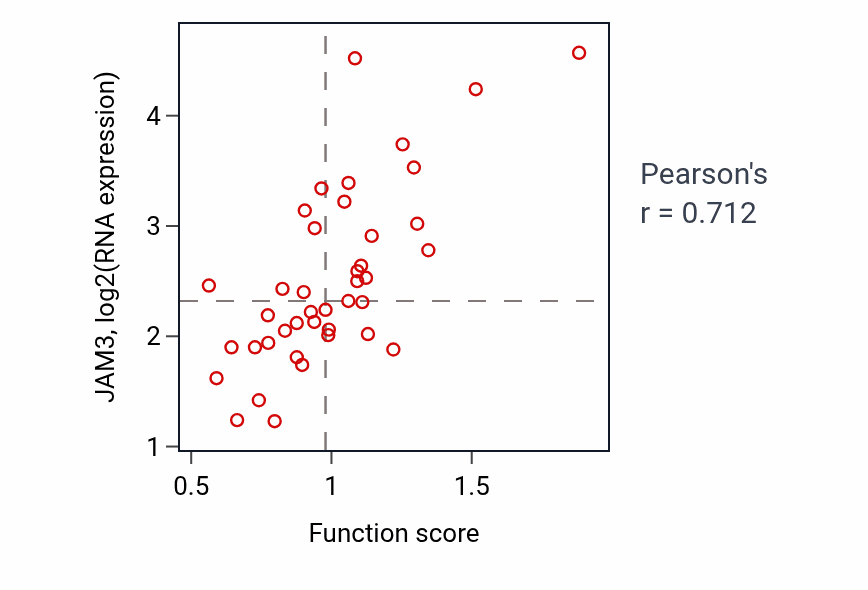 Per-sample scatter of Positive regulation of endothelial cell migration activity vs JAM3 in UCEC.