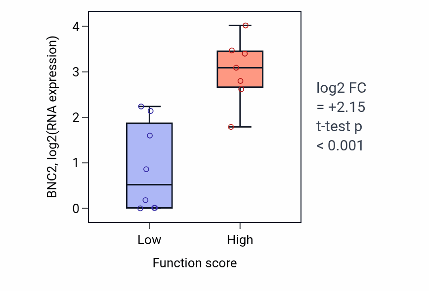Box plot of BNC2 in Negative regulation of macrophage derived foam cell differentiation-low vs -high samples in BONE.