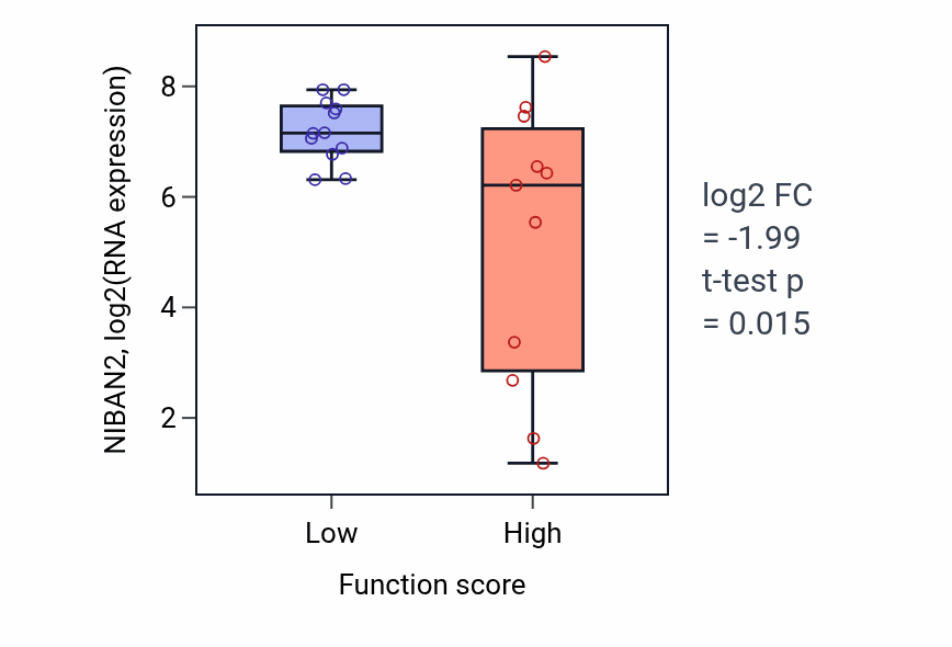 Box plot of NIBAN2 in Negative regulation of peptidyl-threonine phosphorylation-low vs -high samples in CNS.