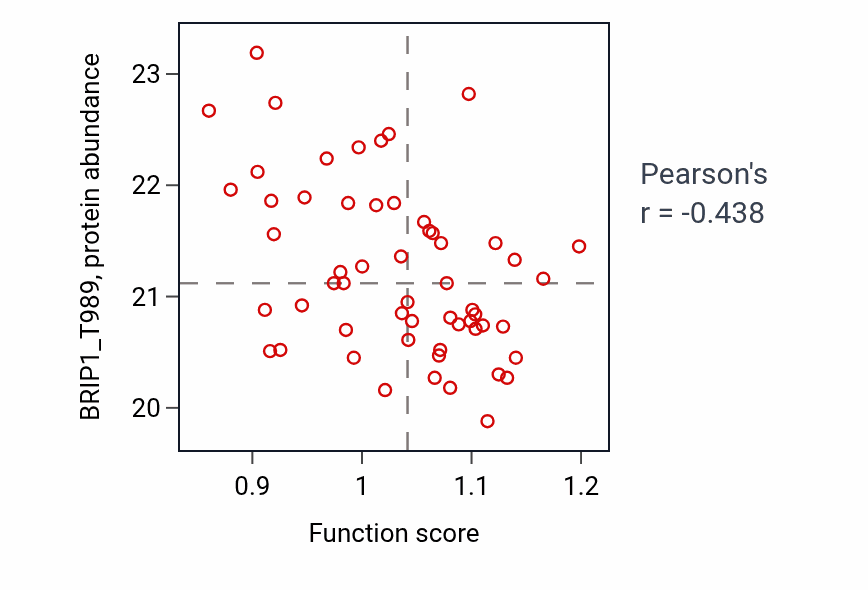 Per-sample scatter of Negative regulation of myotube differentiation activity vs BRIP1_T989 in UCEC.