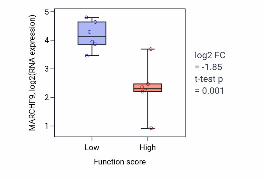 Box plot of MARCHF9 in Positive regulation of keratinocyte proliferation-low vs -high samples in URINARY_TRACT.