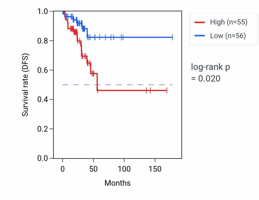 Kaplan&ndash;Meier survival curve for Neural crest cell differentiation pathway activity in THCA: high vs low activity groups.