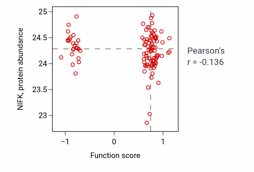 Per-sample scatter of Skeletal muscle satellite cell activation activity vs NIFK in HNSC.