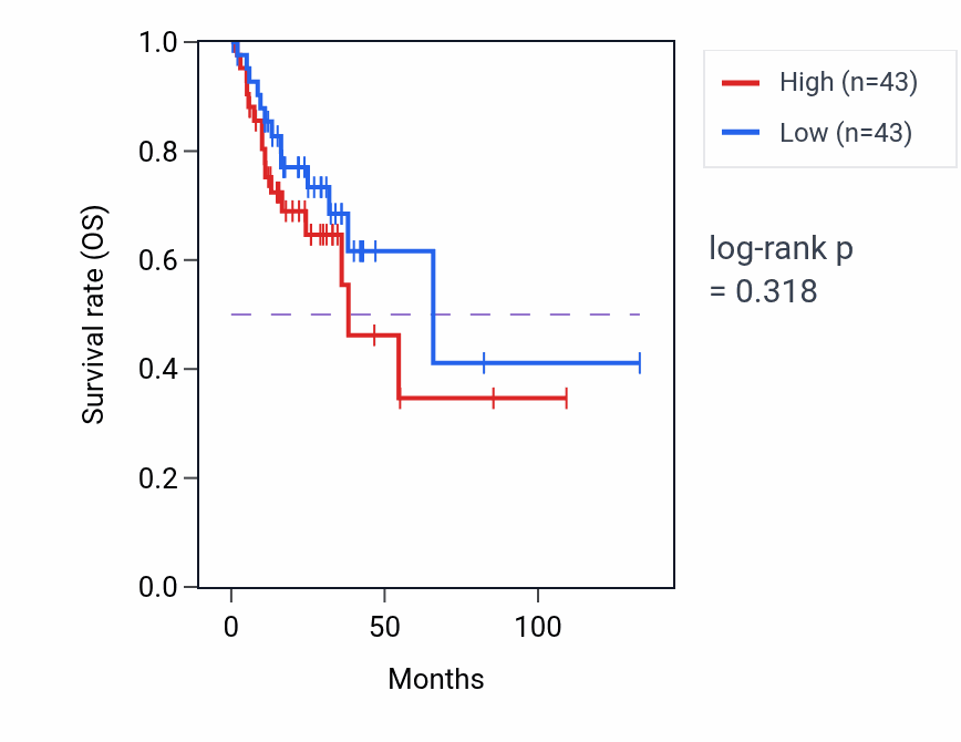 Kaplan&ndash;Meier survival curve for Regulation of skeletal muscle contraction by calcium ion signaling pathway activity in COAD: high vs low activity groups.