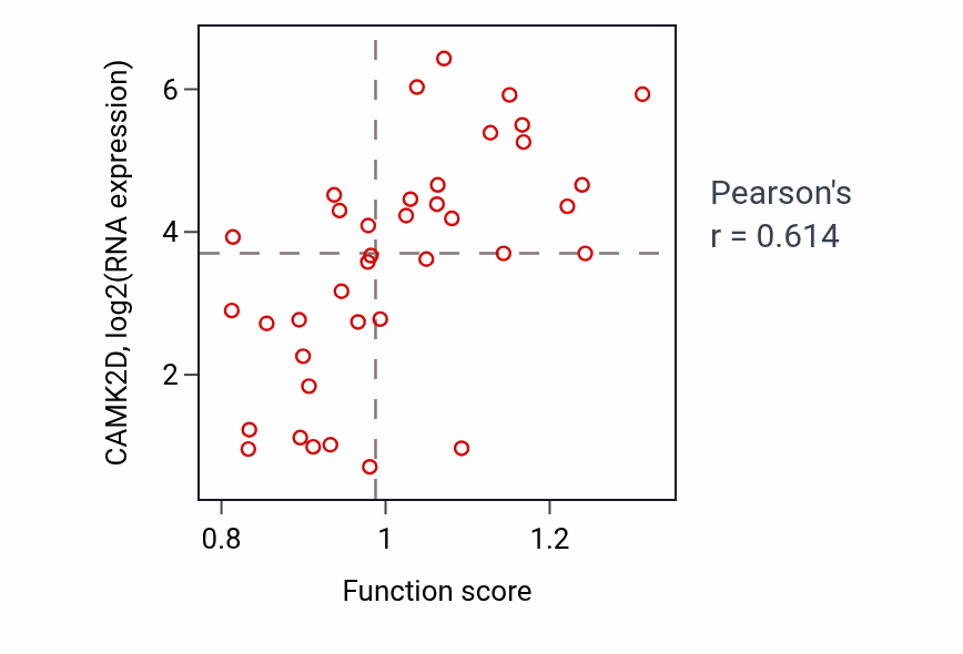 Per-sample scatter of Positive regulation of muscle hypertrophy activity vs CAMK2D in BONE.