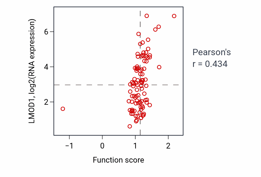 Per-sample scatter of Tonic smooth muscle contraction activity vs LMOD1 in UCEC.