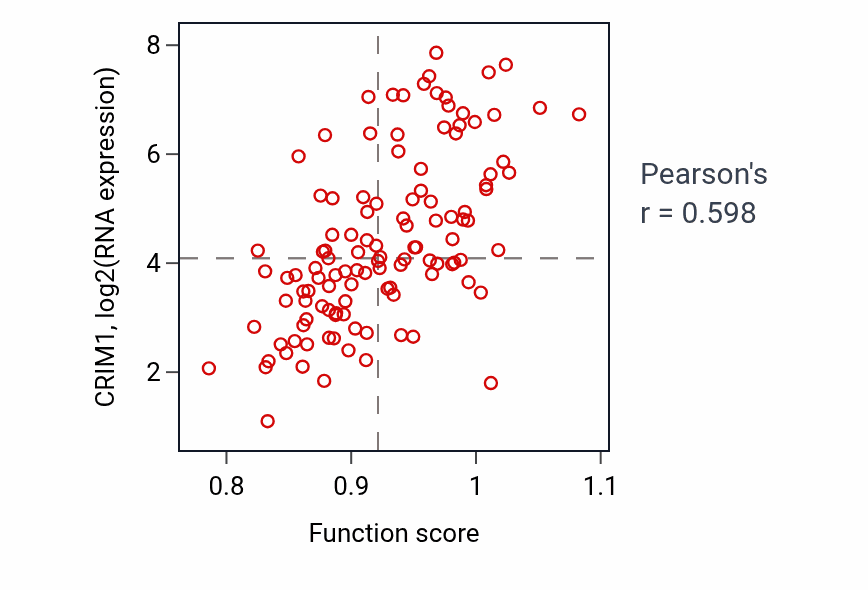 Per-sample scatter of Vascular associated smooth muscle contraction activity vs CRIM1 in THYM.