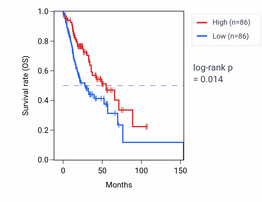Kaplan&ndash;Meier survival curve for Vascular associated smooth muscle contraction pathway activity in HNSC: high vs low activity groups.