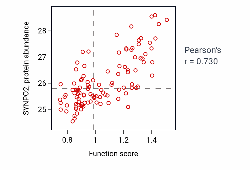 Per-sample scatter of Skeletal myofibril assembly activity vs SYNPO2 in HNSC.