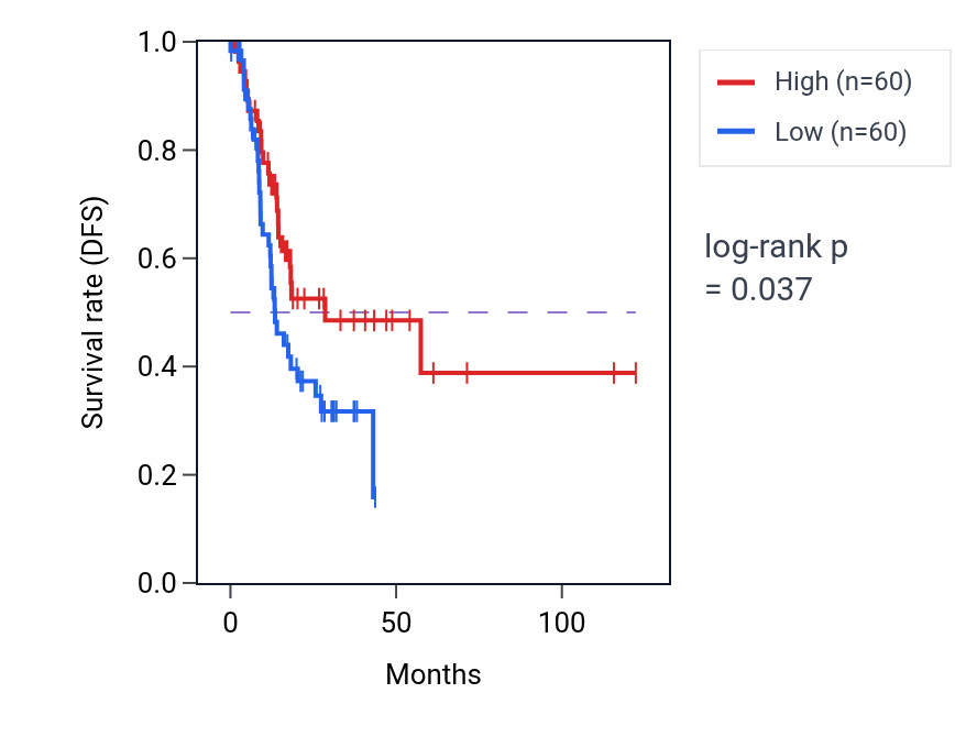 Kaplan&ndash;Meier survival curve for Skeletal myofibril assembly pathway activity in STAD: high vs low activity groups.