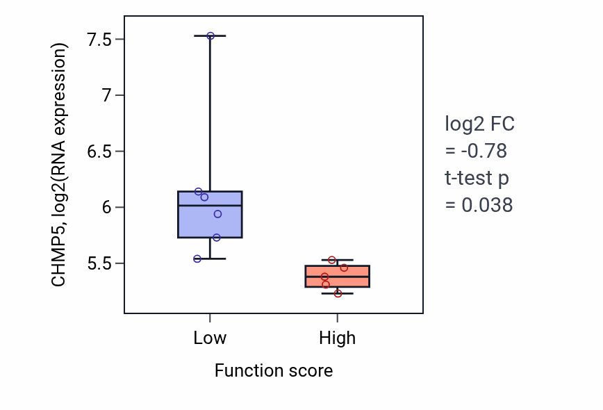 Box plot of CHMP5 in Myotube differentiation-low vs -high samples in BLOOD_Lymphoma.