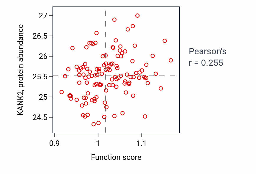 Per-sample scatter of Myotube cell development activity vs KANK2 in BRCA.