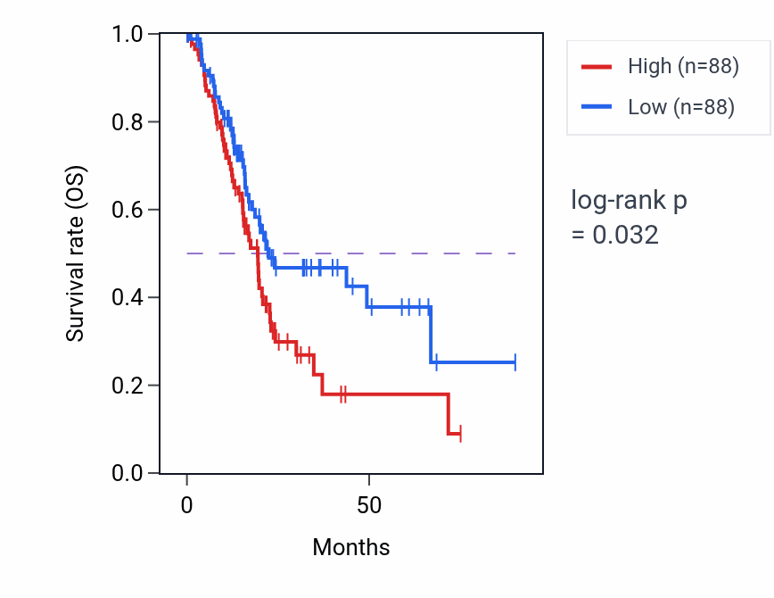 Kaplan&ndash;Meier survival curve for Myotube cell development pathway activity in PAAD: high vs low activity groups.