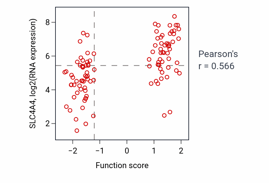 Per-sample scatter of Bicarbonate transport activity vs SLC4A4 in PDAC.