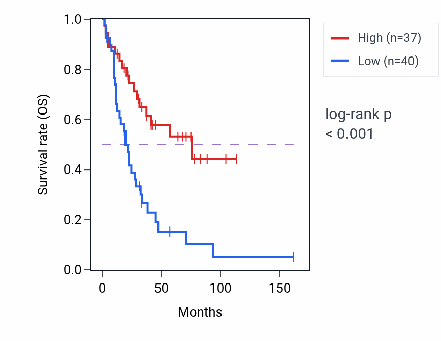 Kaplan&ndash;Meier survival curve for Citrate transport pathway activity in SCLC: high vs low activity groups.