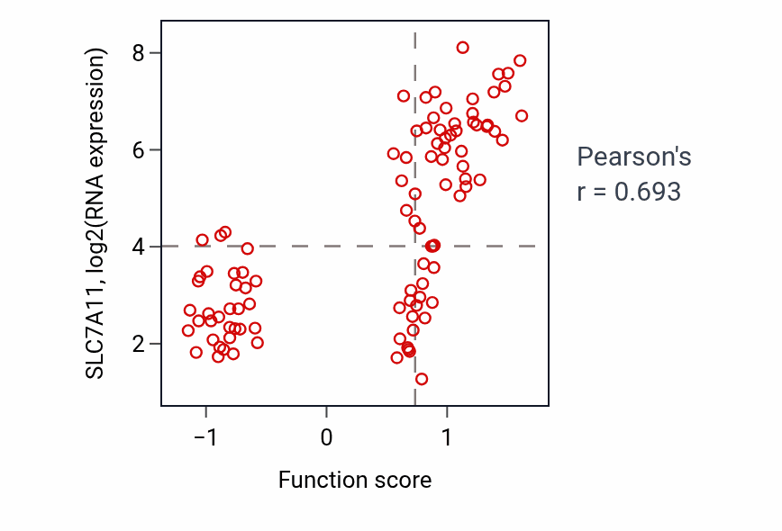 Per-sample scatter of L-cystine transport activity vs SLC7A11 in LSCC.