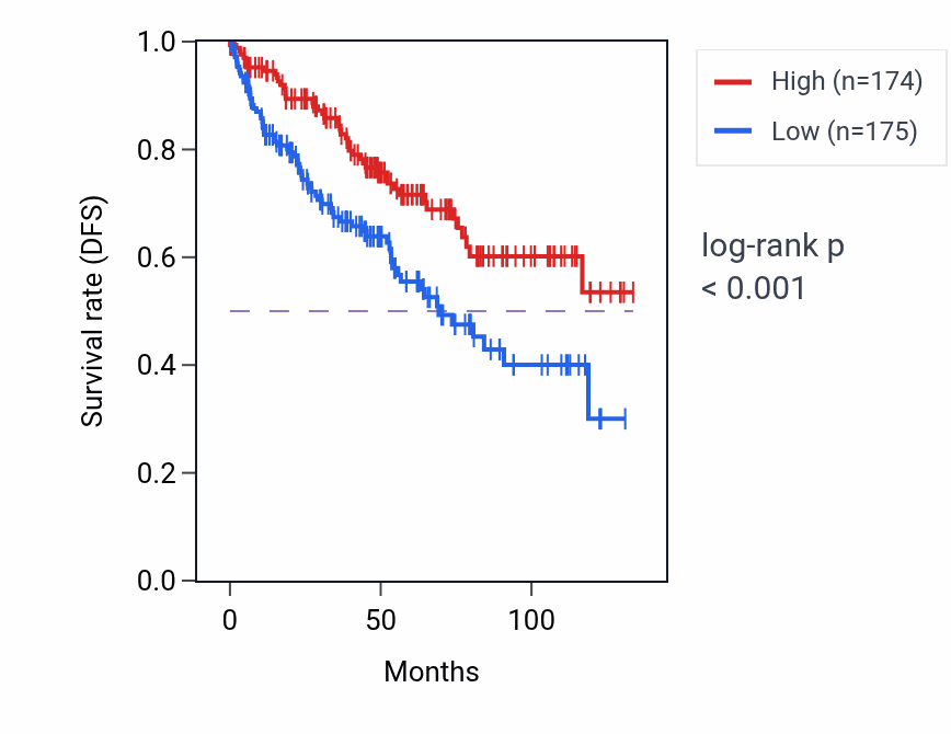 Kaplan&ndash;Meier survival curve for L-cystine transport pathway activity in KIRC: high vs low activity groups.