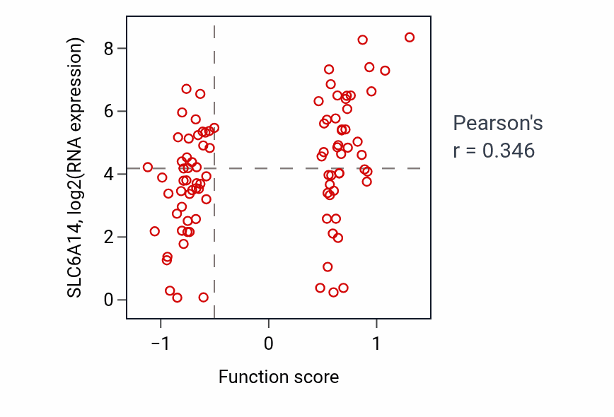 Per-sample scatter of Carnitine transport activity vs SLC6A14 in HNSC.