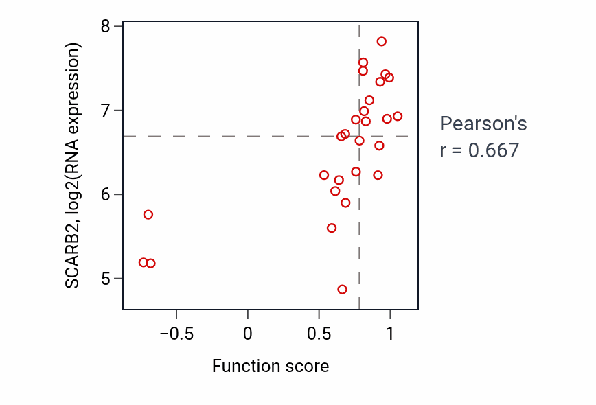 Per-sample scatter of Aminophospholipid transport activity vs SCARB2 in SKIN.