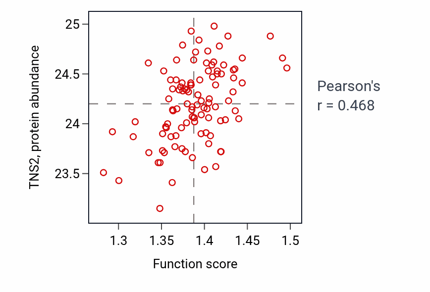 Per-sample scatter of Positive regulation of macroautophagy activity vs TNS2 in CCRCC.