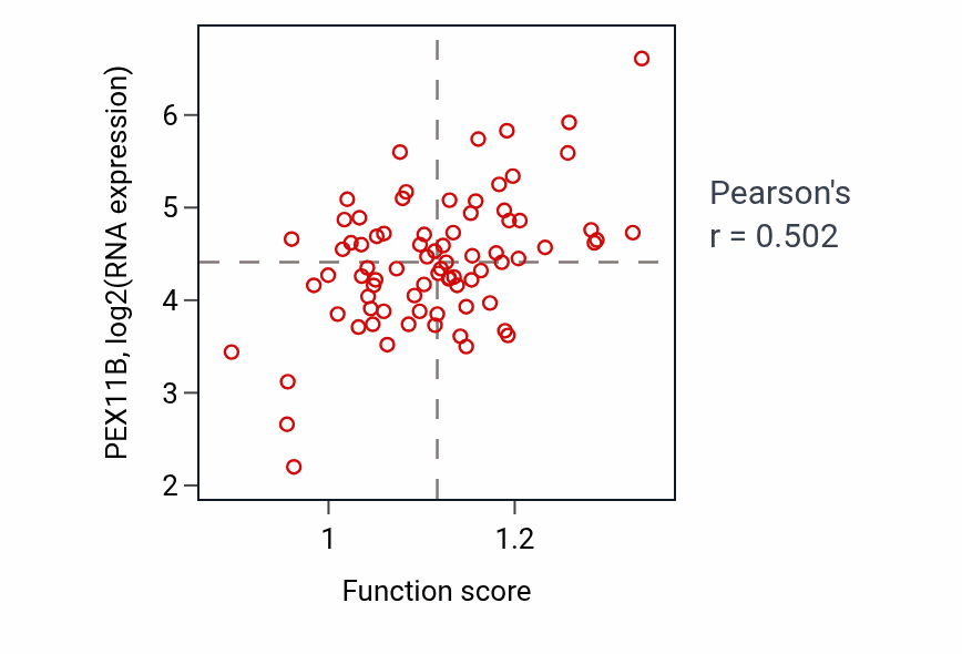 Per-sample scatter of Peroxisome fission activity vs PEX11B in LUNG_NSCLC_LUAD.