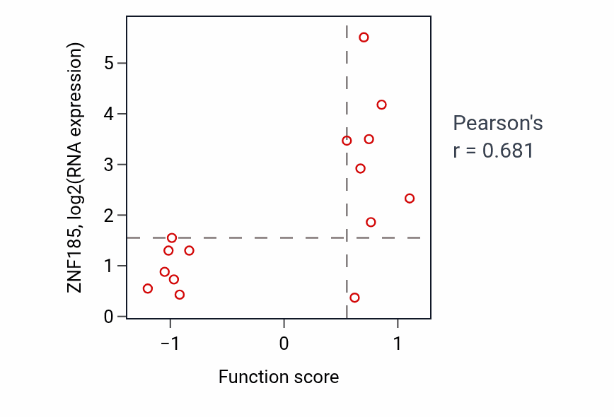 Per-sample scatter of Rac protein signal transduction activity vs ZNF185 in BONE.