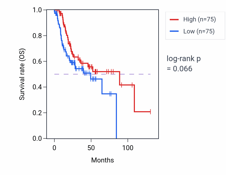 Kaplan&ndash;Meier survival curve for Protein palmitoylation pathway activity in HNSC: high vs low activity groups.