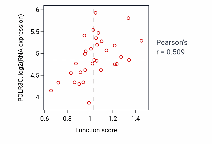 Per-sample scatter of Citrulline biosynthetic process activity vs POLR3C in SKIN.