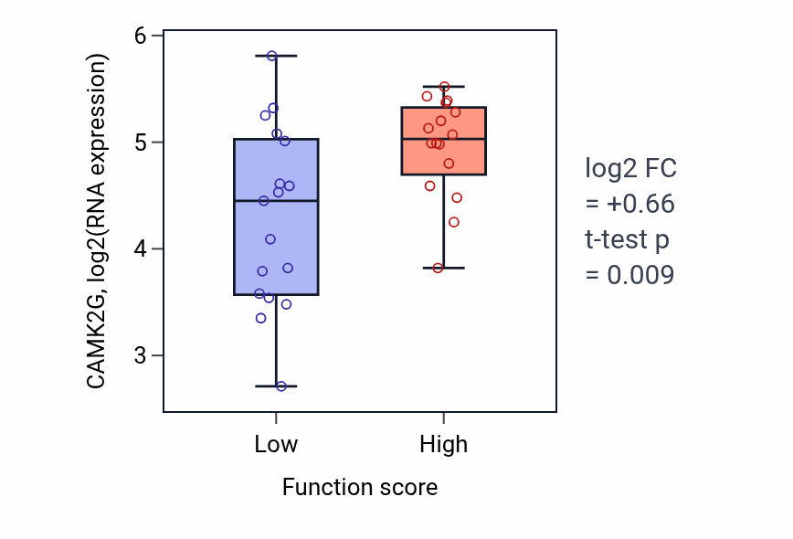 Box plot of CAMK2G in One-carbon compound transport-low vs -high samples in BLOOD_Leukemia.