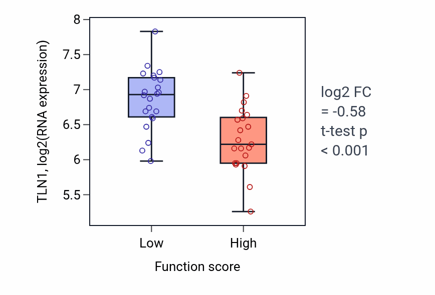 Box plot of TLN1 in Hindbrain morphogenesis-low vs -high samples in SKIN.